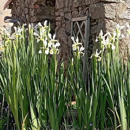 A La Campagne, Proche Du Puy Du Fou, Les Charmes De Castellariis Pouzauges