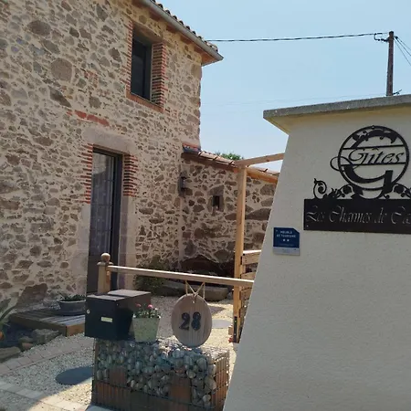 Les Charmes De Castellariis Proche Du Puy Du Fou 別荘 プゾージュ