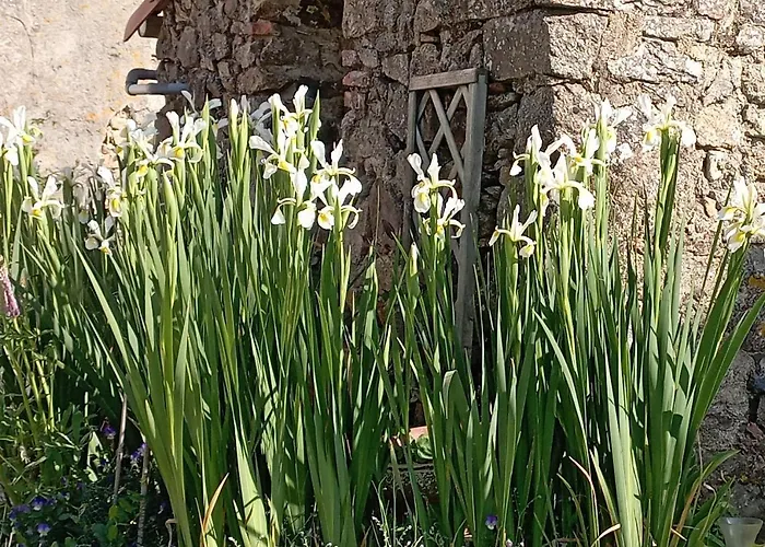 Les Charmes De Castellariis Proche Du Puy Du Fou Pouzauges